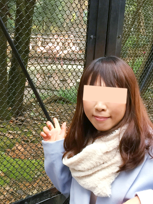 おお大宮公園小動物園・氷川神社
