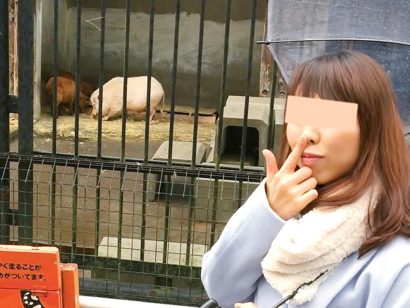 おお大宮公園小動物園・氷川神社