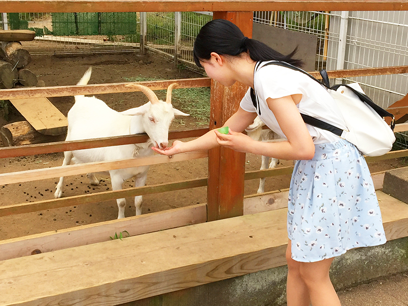 こども動物自然公園