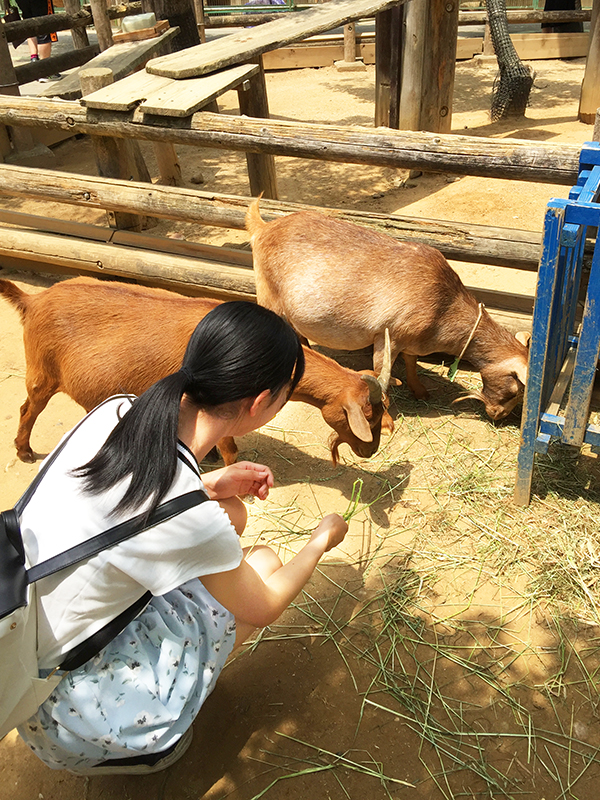 こども動物自然公園