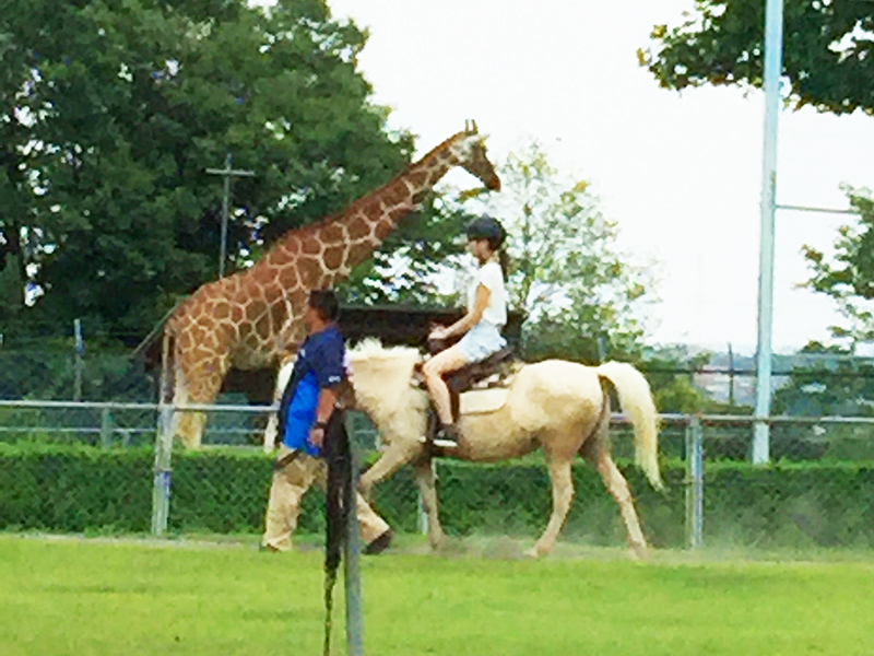 こども動物自然公園